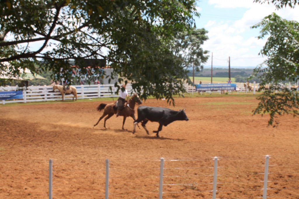 Rodeio Crioulo Nacional inicia na próxima sexta-feira (19/4) em Joinville (SC)