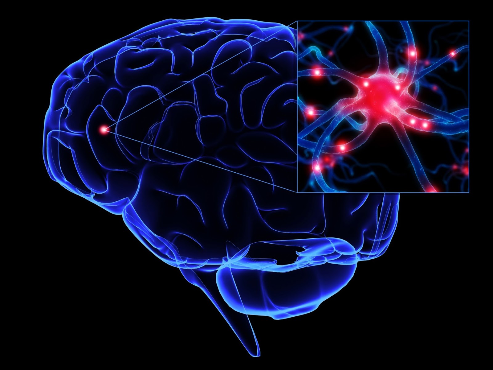 Cura: remédio para combate ao câncer pode levar à cura do Alzheimer