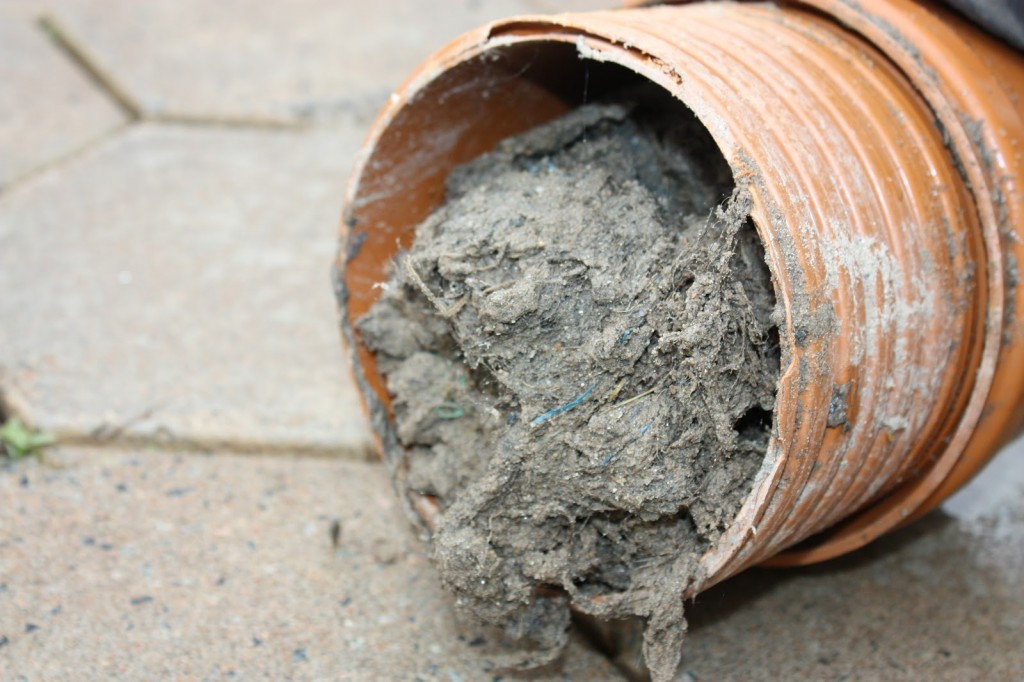 Lixo no esgoto sanitário, e nas áreas mais ricas da cidade? O que é isso companheiros?