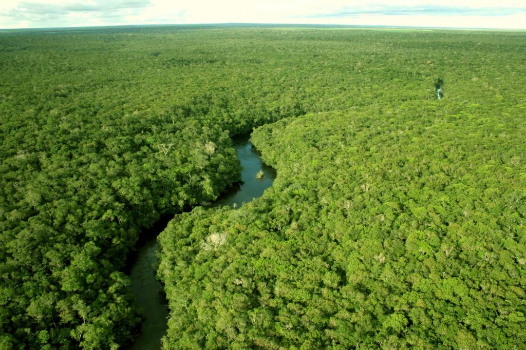 Fundo financiará monitoramento da Amazônia