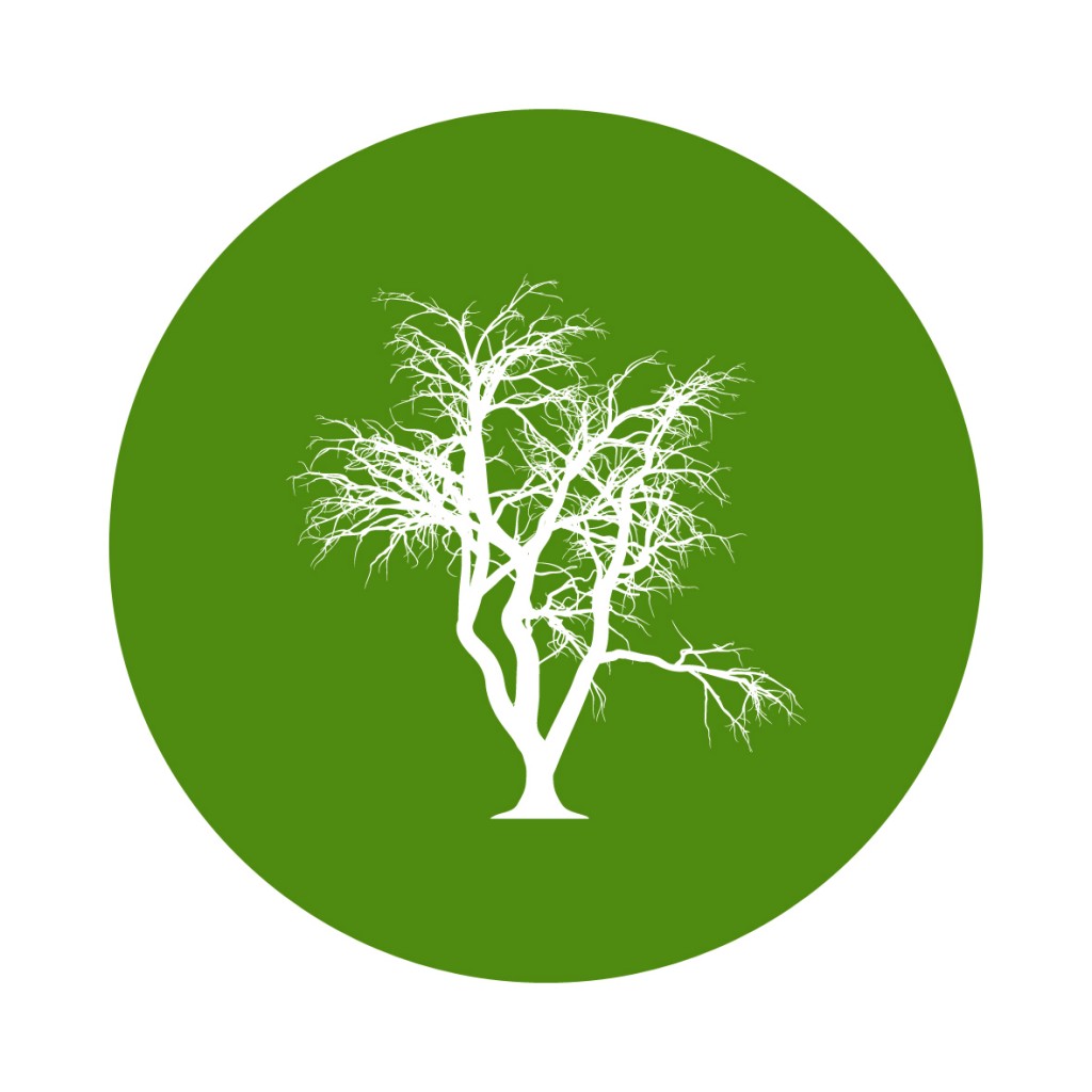 Meio Ambiente: SC recebe três seminários que tratam do tema