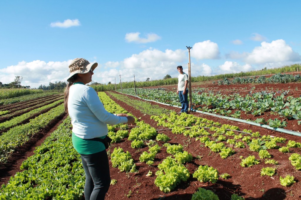 Incra ganha nova área para Reforma Agrária
