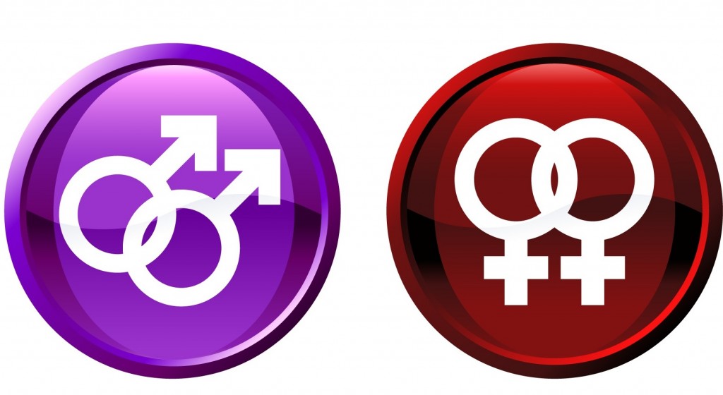 Ministra do STF reconhece adoção de criança por casal homoafetivo