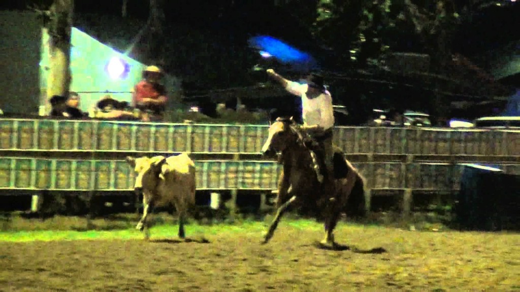 Vem aí o 39o. Rodeio Crioulo Nacional entre os dias 17 a 19 de abril em Joinville (SC)