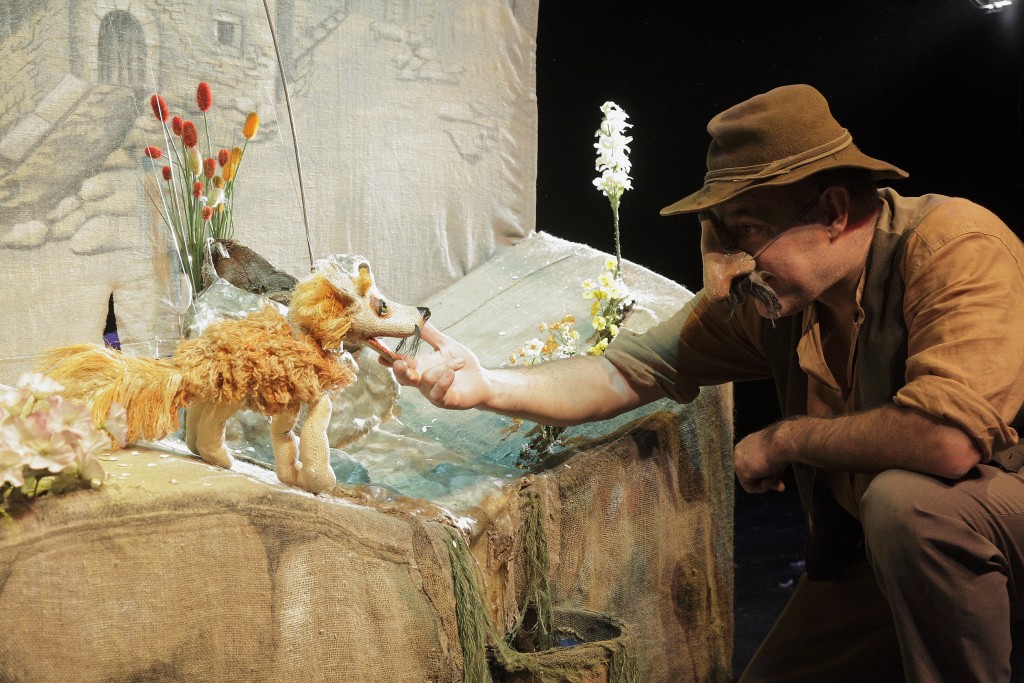 Jaraguá do Sul (SC) recebe Festival de Formas Animadas no final de setembro