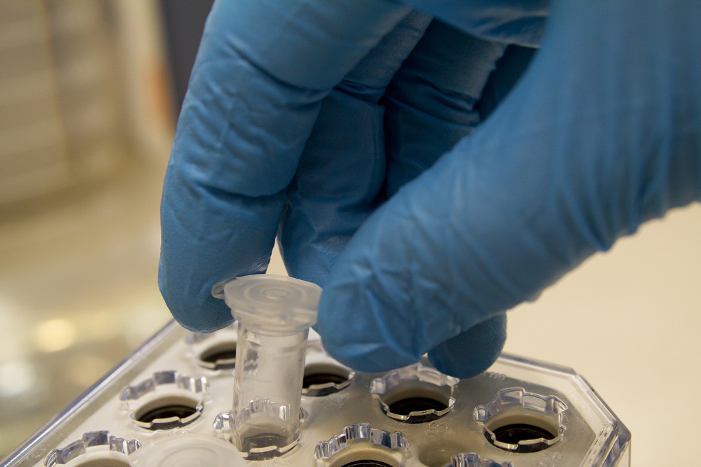 Fundação lança edital de R$ 6 milhões para apoiar pesquisas contra Aedes aegypti