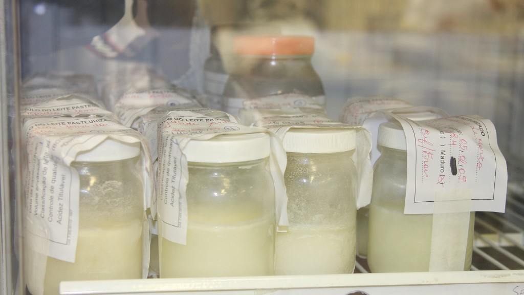 Maternidade Darcy Vargas faz campanha por mais doações ao Banco de Leite Materno