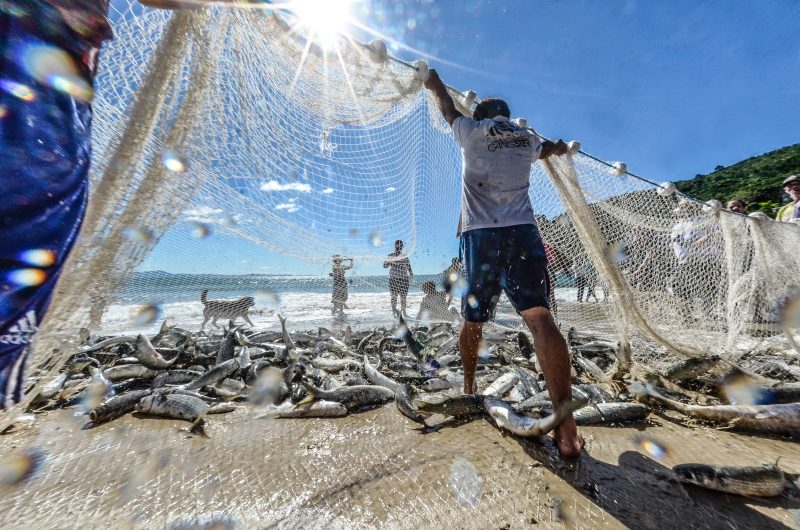 Pescadores e maricultores terão linha de crédito em SC