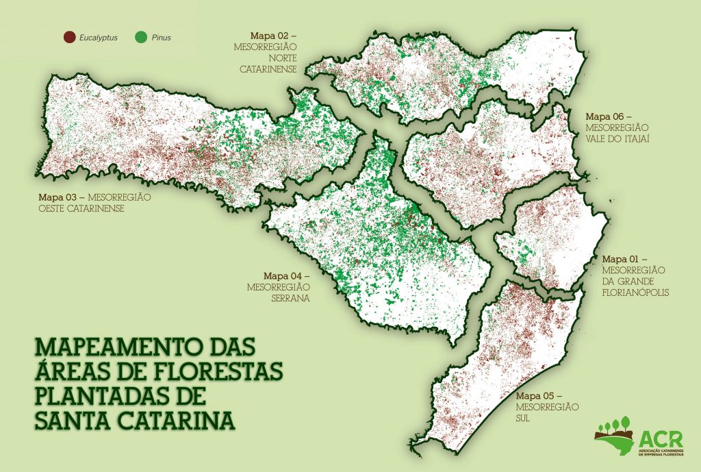 Estudo aponta áreas de silvicultura em SC